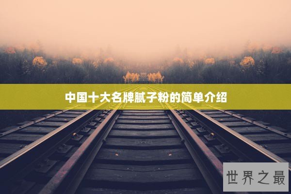 中国十大名牌腻子粉的简单介绍