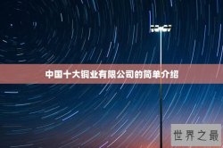 中国十大铜业有限公司的简单介绍
