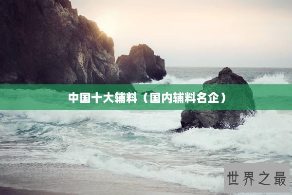 中国十大辅料（国内辅料名企）