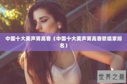 中国十大美声男高音（中国十大美声男高音歌唱家排名）