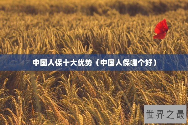 中国人保十大优势（中国人保哪个好）