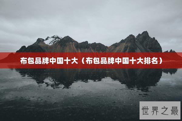 布包品牌中国十大（布包品牌中国十大排名）