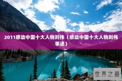 2011感动中国十大人物刘伟（感动中国十大人物刘伟事迹）