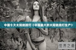 中国十大太阳能路灯（中国最大的太阳能路灯生产）