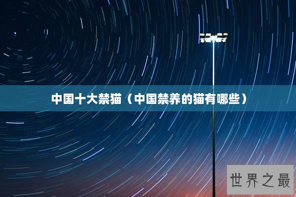 中国十大禁猫（中国禁养的猫有哪些）