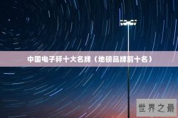 中国电子秤十大名牌（地磅品牌前十名）