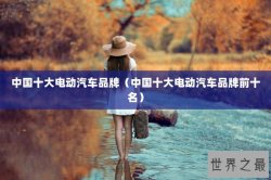 中国十大电动汽车品牌（中国十大电动汽车品牌前十名）