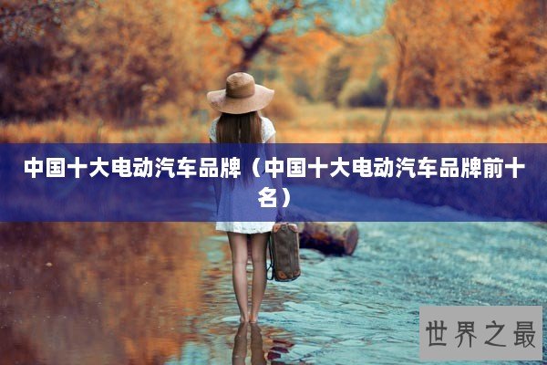 中国十大电动汽车品牌（中国十大电动汽车品牌前十名）