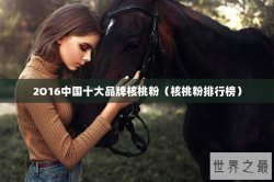 2O16中国十大品牌核桃粉（核桃粉排行榜）