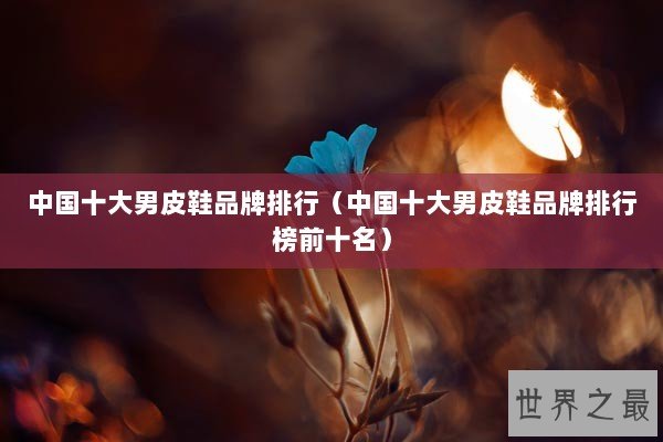 中国十大男皮鞋品牌排行（中国十大男皮鞋品牌排行榜前十名）