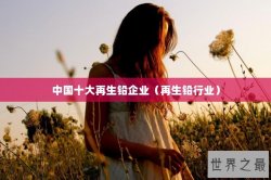中国十大再生铅企业（再生铅行业）