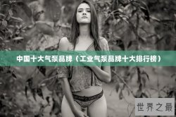中国十大气泵品牌（工业气泵品牌十大排行榜）