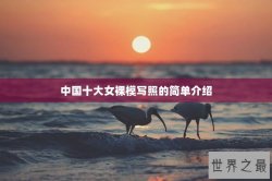 中国十大女裸模写照的简单介绍