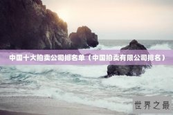 中国十大拍卖公司排名单（中国拍卖有限公司排名）