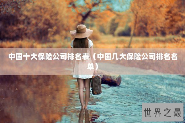中国十大保险公司排名表（中国几大保险公司排名名单）