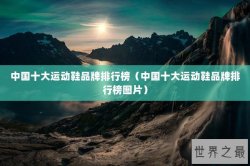 中国十大运动鞋品牌排行榜（中国十大运动鞋品牌排行榜图片）