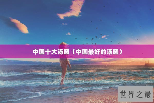 中国十大汤圆（中国最好的汤圆）