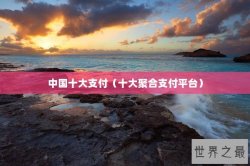 中国十大支付（十大聚合支付平台）