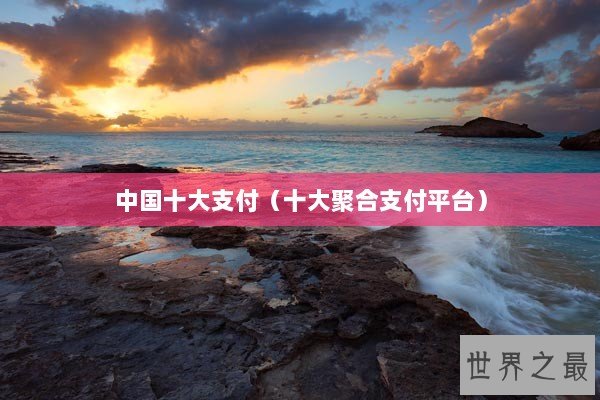 中国十大支付(十大聚合支付平台) 中国十大支付(十大聚合支付平台)
