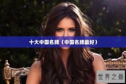 十大中国名牌（中国名牌最好）