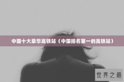 中国十大豪华高铁站（中国排名第一的高铁站）