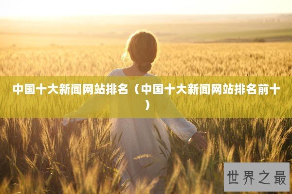 中国十大新闻网站排名（中国十大新闻网站排名前十）