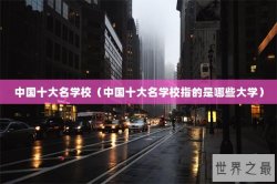 中国十大名学校（中国十大名学校指的是哪些大学）