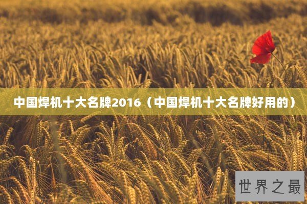 中国焊机十大名牌2016（中国焊机十大名牌好用的）