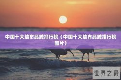 中国十大墙布品牌排行榜（中国十大墙布品牌排行榜图片）