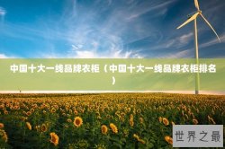 中国十大一线品牌衣柜（中国十大一线品牌衣柜排名）