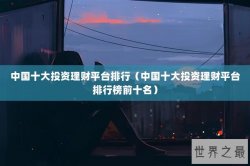 中国十大投资理财平台排行（中国十大投资理财平台排行榜前十名）
