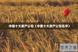 中国十大房产公司（中国十大房产公司名字）