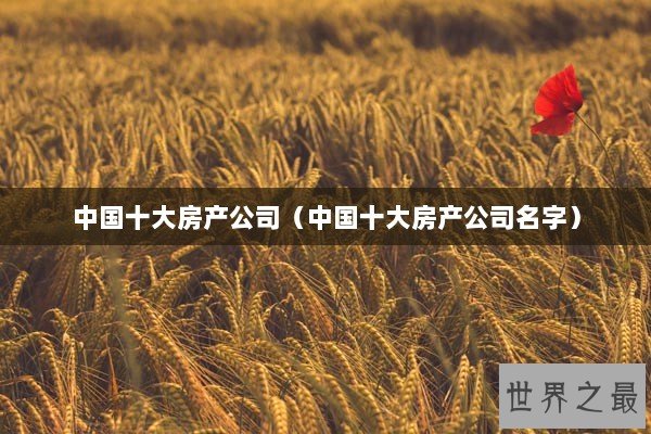 中国十大房产公司（中国十大房产公司名字）