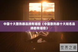 中国十大散热器品牌有哪些（中国散热器十大知名品牌都有哪些）