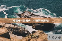 中国十大禁游戏（中国禁的游戏）