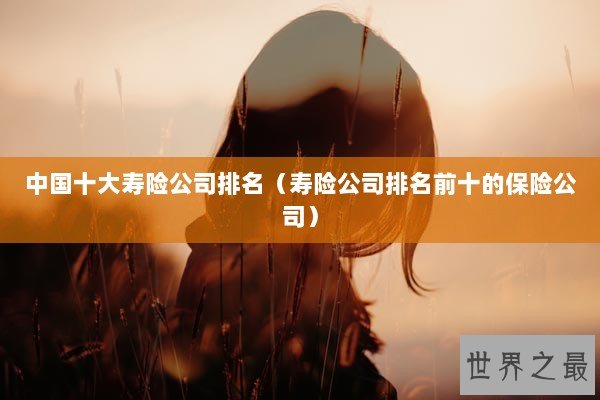 中国十大寿险公司排名（寿险公司排名前十的保险公司）