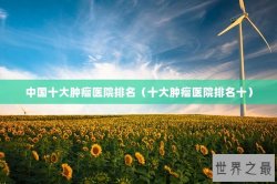 中国十大肿瘤医院排名（十大肿瘤医院排名十）