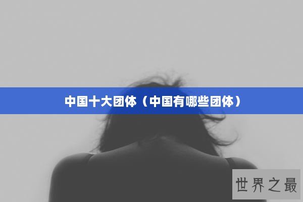 中国十大团体（中国有哪些团体）