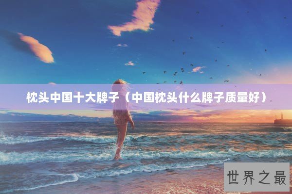 枕头中国十大牌子（中国枕头什么牌子质量好）