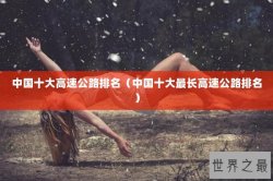 中国十大高速公路排名（中国十大最长高速公路排名）