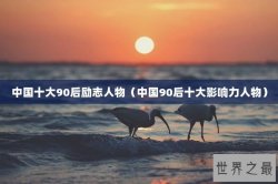 中国十大90后励志人物（中国90后十大影响力人物）
