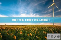 中国十大无（中国十大无人机排行）