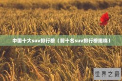 中国十大suv排行榜（前十名suv排行榜揭晓）