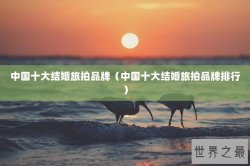 中国十大结婚旅拍品牌（中国十大结婚旅拍品牌排行）