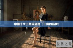 中国十大三角带品牌（三角的品牌）