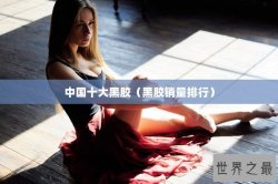 中国十大黑胶（黑胶销量排行）
