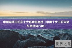 中国电动三轮车十大名牌排名榜（中国十大三轮电动车品牌排行榜）