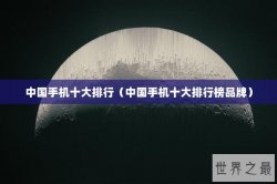 中国手机十大排行（中国手机十大排行榜品牌）