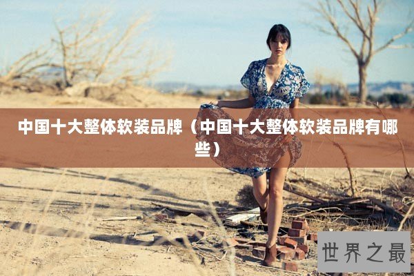 中国十大整体软装品牌（中国十大整体软装品牌有哪些）
