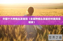 中国十大种植头发医院（全国种植头发最好的医院是哪家）